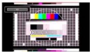 Image showing a color calibration interface with a grid background and a color bar, likely from an image processing software.