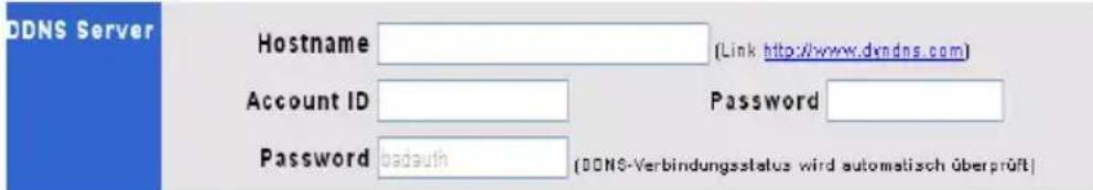 ODNS Server Hostname (Link http://www.dvndns.com) Account ID Password Password badauth (ODNS-Verbindungsstatus wird automatisch überprüft)