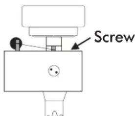 Screw