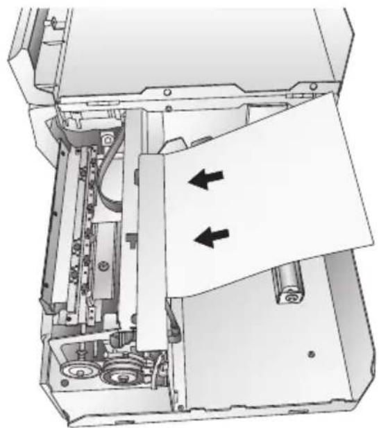 PRIMERA LX810e - Für Mac und PC: - 2