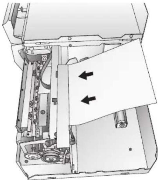 PRIMERA LX810e - Reinigen/Säubern - 1