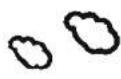 Pyle PAW1 - Weather Forecast - 8