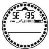 Pyle PAW1 - The Digital Compass - 1