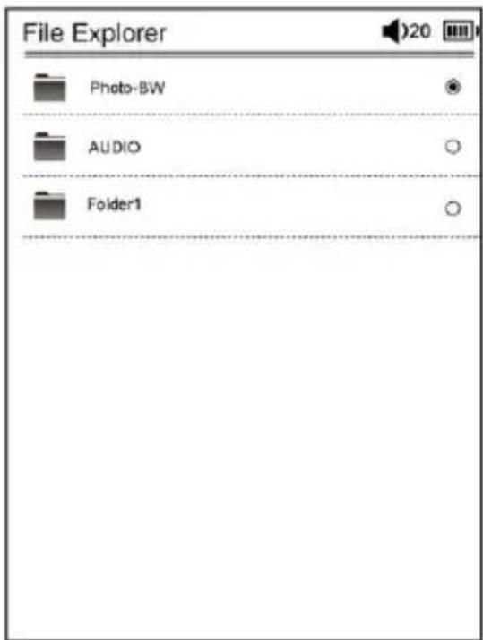 File Explorer Photo-BW AUDIO Folder1