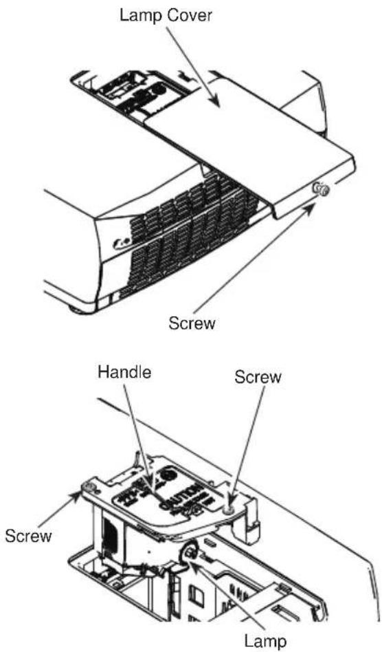 Lamp Cover Screw Handle Screw Screw Lamp