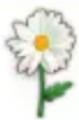 SAMSUNG YP-M1 - Widget-Symbol hinzufügen/löschen - 14
