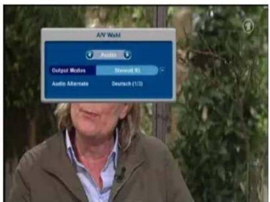 A/V Work Audio Output Modes Stewert (K) Audio Alternate Deutsch (1/2)