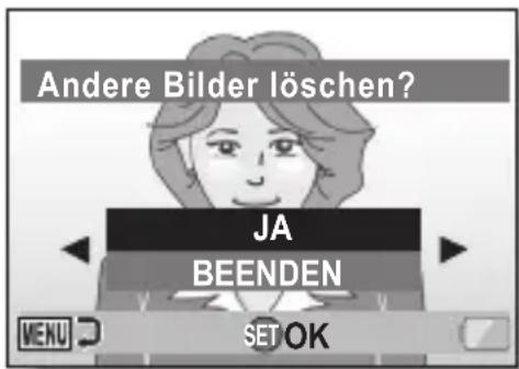Andere Bilder löschen? JA BEENDEN SET OK