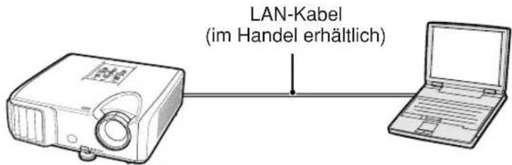 LAN-Kabel (im Handel erhältlich)
