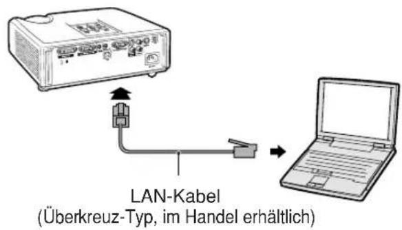 LAN-Kabel (Überkreuz-Typ, im Handel erhältlich)