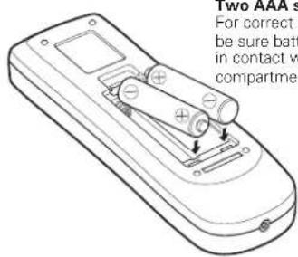 TWO AAA S For correct p be sure bat in contact w compartment