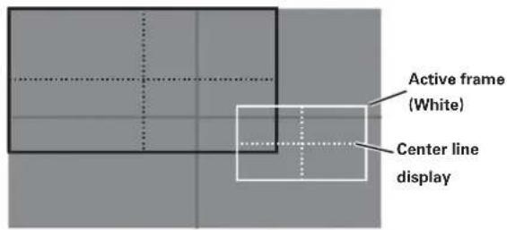 Active frame (White) Center line display