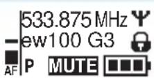 SENNHEISER SKM 100-865 G3 - Eine Standardanzeige auswählen - 2