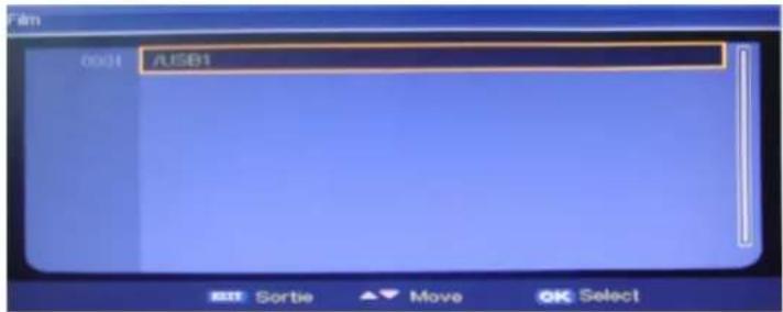 0001 /USB1 File Sortie ▲ Move OK Select