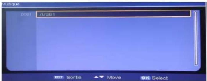 Musique 0001 /USB1 Sortie ▲ Move OK Select