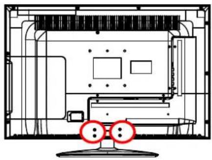 SEG Riga - Remove the Stand - 1
