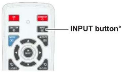 INPUT button*