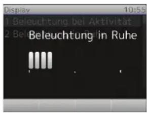 Snom 2795 - - Leuchtstärke. - 3