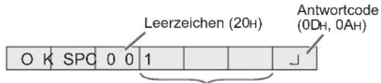 Leerzeichen (20H) Antwortcode (0DH, 0AH) O K SPC 0 0 1 ⊥