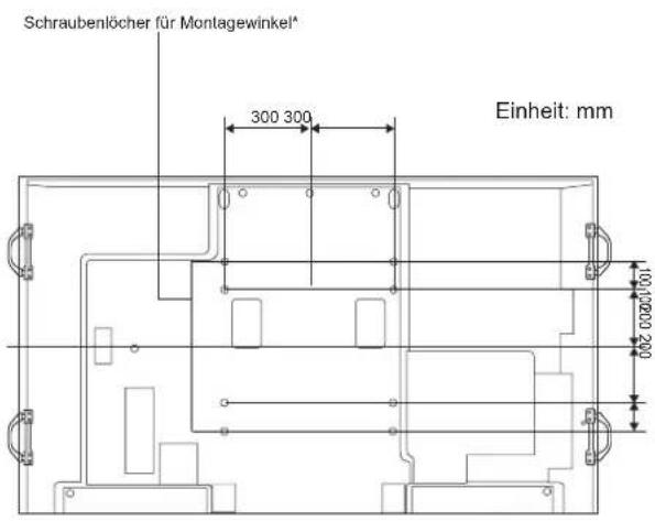 Schraubenlöcher für Montagewinkel* 300 300 Einheit: mm 100/0000 200
