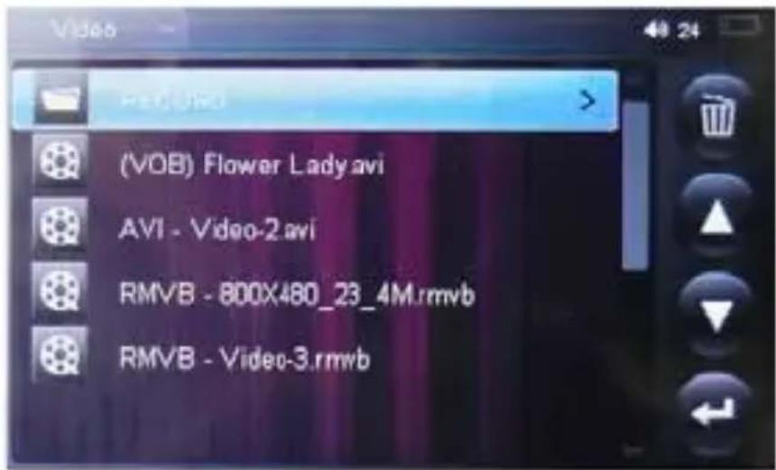(VOB) Flower Lady.avi AVI - Video-2.avi RMVB - 800X480_23_4M.rmvb RMVB - Video-3.rmvb