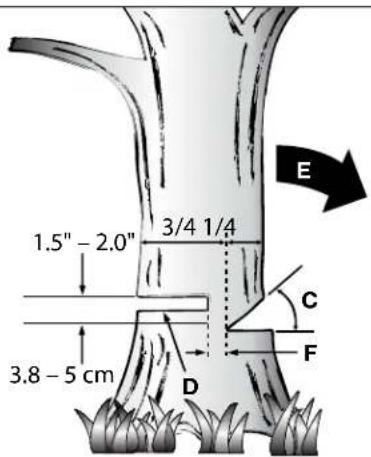 1.5" - 2.0" 3/4 1/4 3.8 - 5 cm D C F E