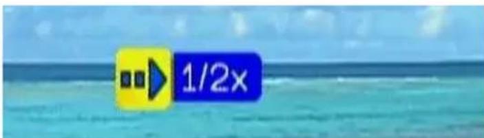 1/2x