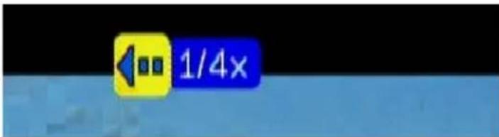 1/4×
