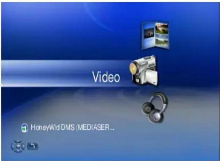Video HoneyWid DMS (MEDIASER...