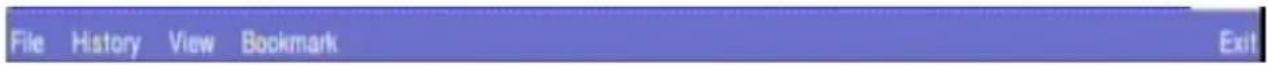 File History View Bookmark Exit
