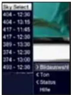 Sky Select 404 - 12:30 404 - 13.15 417 - 11:45 417 - 12:30 389 - 13:30 374 - 12:30 374 - 13:00 493 - 12:30 Bildewohl € Ton € Status Hille