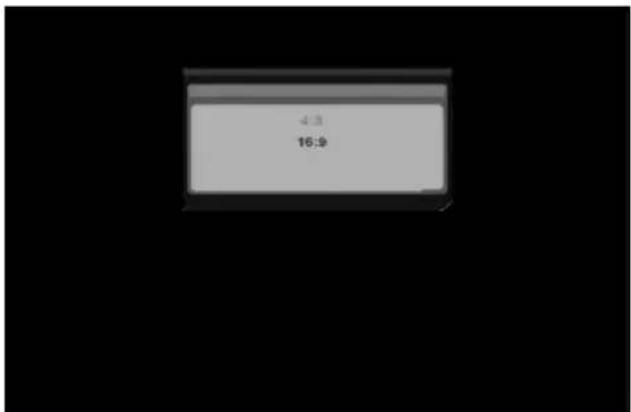 4.3 16:9