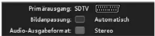 Primäusgang: SDTV Bildanpassung: Automatisch Audio-Ausgabeformat: Stereo