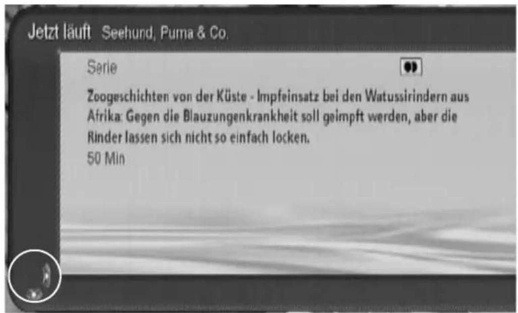 Jetzt läuft Seehund, Puma & Co. Serie Zoogeschichten von der Küste - Impfeinsatz bei den Watussirindern aus Afrika: Gegen die Blauzungenkrankheit soll geimpft werden, aber die Rinder lassen sich nicht so einfach locken. 50 Min