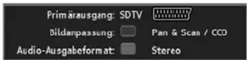 Primärausgang: SDTV Bildanpassung: Pan & Scan / CCD Audio-Ausgabeformat: Stereo