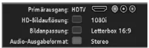 Primärausgang: HDTV HD-Bildauflösung: 1080i Bildanpassung: Letterbox 16:9 Audio-Ausgabeformat: Stereo