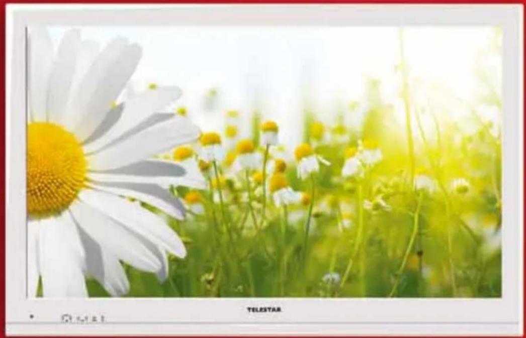 Telestar TD 2210 HD-L - Digitale Fernsehzeitalter - 1