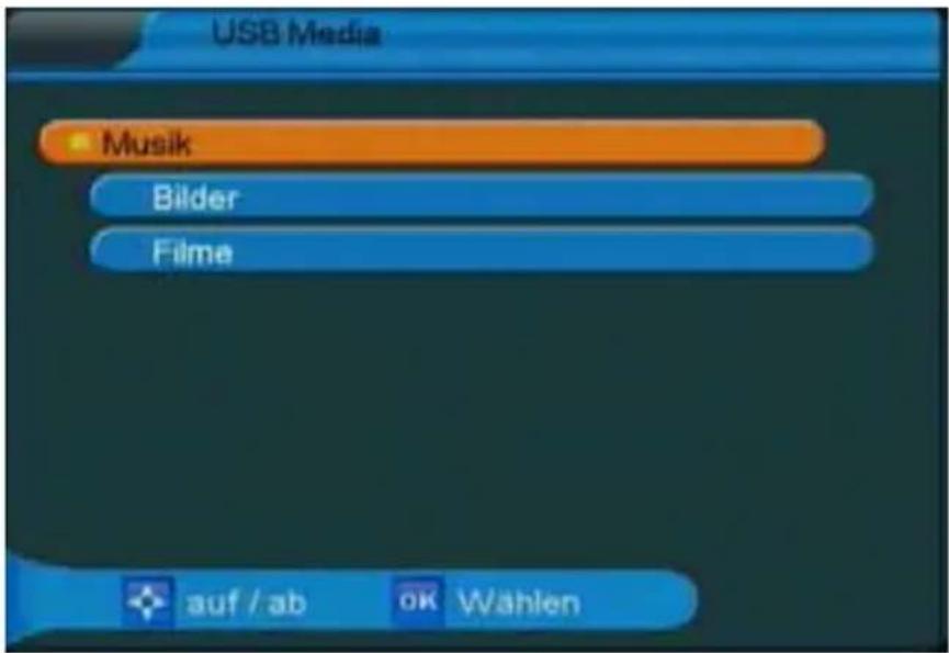 Telestar TD 1110 S-L - USB Media: - 1