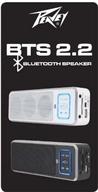 PEAVEY BTS 2.2 - SPECIFICATIONS - 1