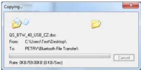 Copying... QS_BTW_40_USB_CZ.doc From: C:\Users\Test\Desktop\ To: PETRV\Bluetooth File Transfer\ Rate: 0KB/59.00KB (0 KB/Sec) Cancel