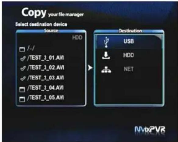 Copy your file manager Select destination device Source HDD - /- ✓ /TEST_3_01.AVI ✓ /TEST_3_02.AVI ✓ /TEST_3_03.AVI ✓ /TEST_3_04.AVI ✓ /TEST_3_05.AVI Destination USB ↓ HDD ↓ NET NVtxPVR