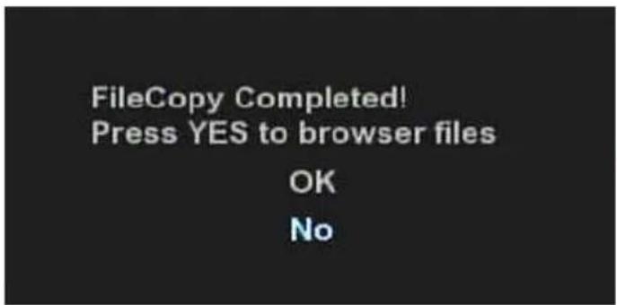 FileCopy Completed! Press YES to browser files OK No