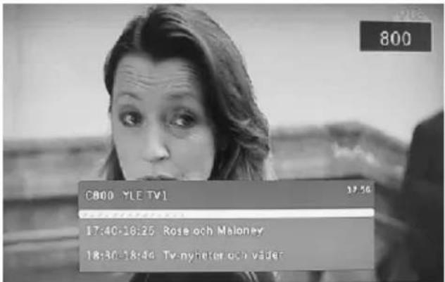 800 C800 YLE TV1 37:56 17:40-18:25 Rose och Maloney 18:30-18:46 Tv-nyheter och väder