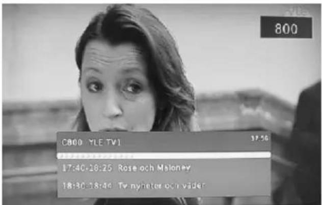 800 C800 YLE TV1 17:56 17:40-18:25 Rose och Maloney 18:30-18:44 Tv nyheter och väder