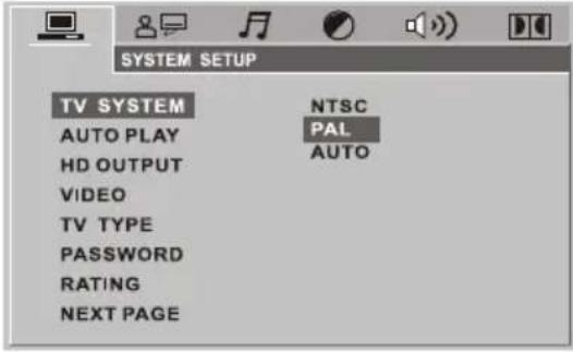 SYSTEM SETUP TV SYSTEM NTSC AUTO PLAY PAL HD OUTPUT AUTO VIDEO TV TYPE PASSWORD RATING NEXT PAGE