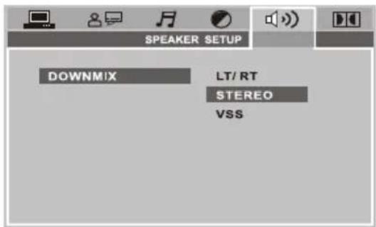 SPEAKER SETUP DOWNMIX LT/ RT STEREO VSS