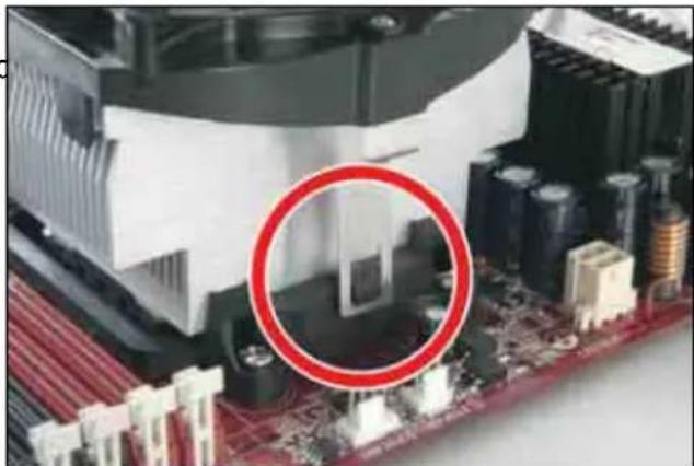 ABIT AN-M2HD-LE - CPU Socket AM2 - 5