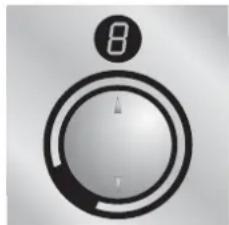 SMEG P875P - Einzelkochplatten - 1