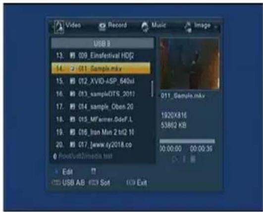 USB B 13. 009_Einsfestival HDJ 14. 011_Sample.mky 15. 012_XVIO-ASP_640xl 16. 013_sampleDITS_2011 17. 014_sample_Oben.20 18. 015_MFarmer.GdeF.L 19. 016_Iron Min 2 bit 10 20. 017_jwww.dy2018.co Host:usb2imedia.txt Edit USB AB Edit Sort Exit Music Image 011_Gample.mky 1920X816 53862 KB 00:00:00 00:00:36