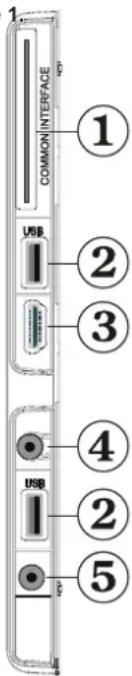 TELEFUNKEN D32H125N3C - Ansicht der Anschlüsse – Anschlüsse an der Seite - 2